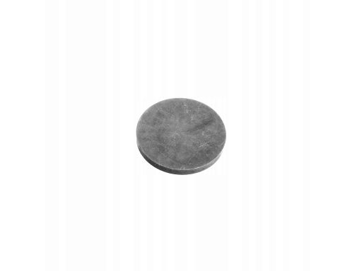 Fe07549 31X3,5 Regulator Luzu Zaworowego Pasuje Do: Volvo 240, 740, 76