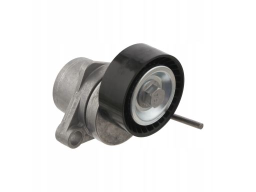 Fe31076 Napinacz Paska Wielorowkowego Pasuje Do: Citroen C2, C2