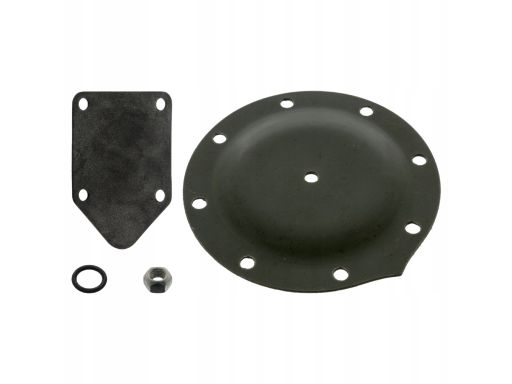 Fe05480 Zestaw Naprawczy Pompy Próżniowej Pasuje Do: Audi 80 B2, 80 B3