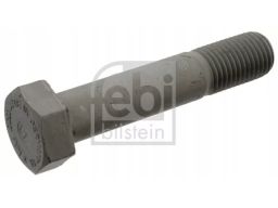 Fe05321 Śruba Mocowania Resoru M30X3,5 Pasuje Do: Bpw