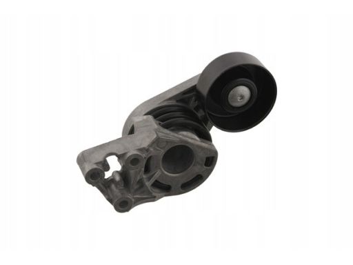 Fe29945 Napinacz Paska Wielorowkowego Pasuje Do: Audi A2, Seat Cordoba