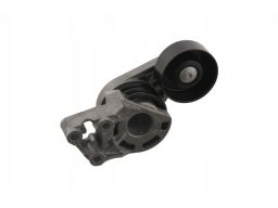 Fe29945 Napinacz Paska Wielorowkowego Pasuje Do: Audi A2, Seat Cordoba