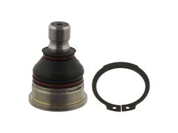 Fe29826 Sworzeń Wahacza Przód L/P (Dół Przód) (Średnica Stożka 16,5Mm,