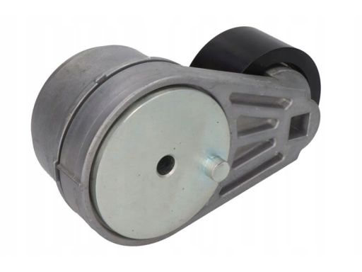 Vkmcv 51073 Napinacz Paska Wielorowkowego