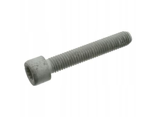 Fe03004 Śruba Przegubu Pasuje Do: Audi 50, 80 B1, 80 B2, 80 B3, 80 B4,