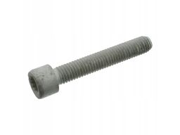 Fe03004 Śruba Przegubu Pasuje Do: Audi 50, 80 B1, 80 B2, 80 B3, 80 B4,