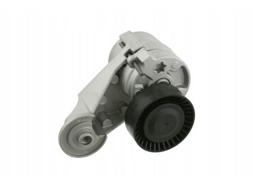 Fe26949 Napinacz Paska Wielorowkowego Pasuje Do: Volvo S60 I, S80 I, V