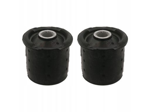 Fe01678 Zestaw Naprawczy Belki Zawieszenia Tył L/P (15,5/62,5Mm) Pasuj