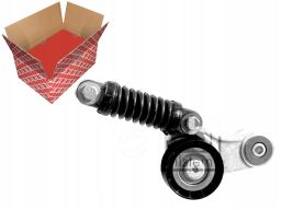 Fe21307 Napinacz Paska Wielorowkowego Pasuje Do: Volvo S40 I, V40, Ren