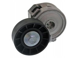 Fe19119 Napinacz Paska Wielorowkowego Pasuje Do: Citroen Berlingo,