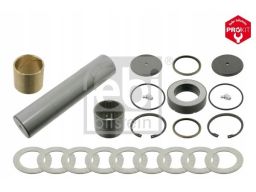 Fe18999 Zestaw Naprawczy Zwrotnicy (Z Łożyskiem 50/51Mmx222,5Mm) Pasuj