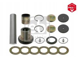 Fe19000 Zestaw Naprawczy Zwrotnicy (Komplet Na 1 Koło, Z Łożyskiem, Ze