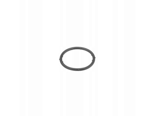 Fe18766 Oring Tulei Cylindrowej Vw-Audi 100,100 Avant,100 Avant