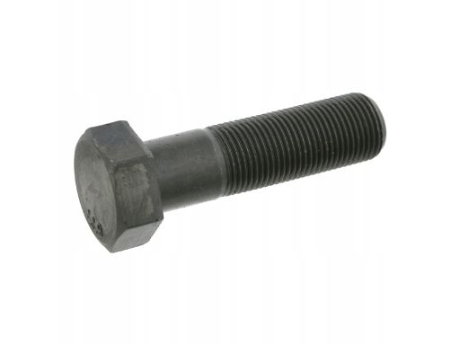 Fe17230 Śruba Mocowania Koła Wału Korbowego Pasuje Do: Audi 100 C2, 10