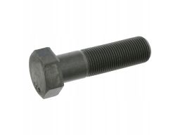 Fe17230 Śruba Mocowania Koła Wału Korbowego Pasuje Do: Audi 100 C2, 10