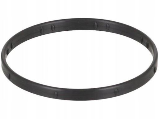 Uszczelka Rury Kolektora Dolotowego 766.750