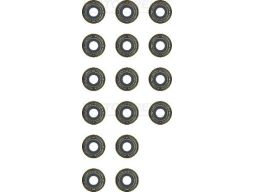 12-53449-01 Zestaw Uszczelniaczy Trzonka Zaworów 12-53449-01 Reinz