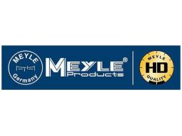 300 334 1100/S Zestaw Łożyska Koła Tył L/P (42X80X42) Pasuje Do: Bmw 5