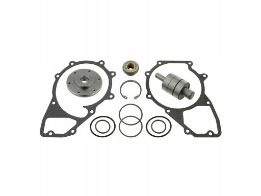 Fe03520 Zestaw Naprawczy Pompy Cieczy Chłodzącej (Wałek) Pasuje Do: Ma