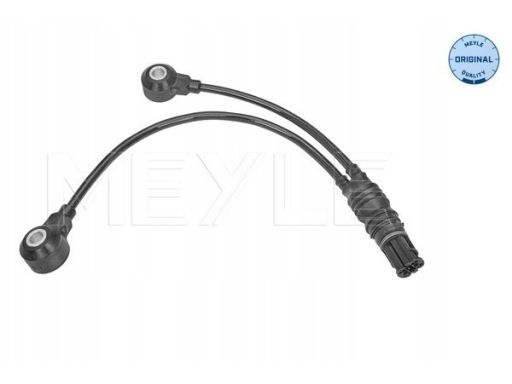 314 811 0000 Czujnik Spalania Stukowego Pasuje Do: Bmw 1 (E81), 1 (E82