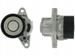 Vkm 36020 Napinacz Paska Wielorowkowego Pasuje Do: Dacia Duster, Logan