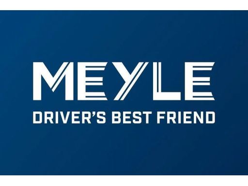 100 653 0038 Zestaw Łożyska Koła Z Piastą Przód/Tył L/P (61X142) Pasuj