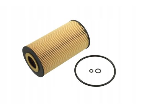 Fe101329 Filtr Oleju Pasuje Do: Mercedes E (W211), G (W463), M (W163),