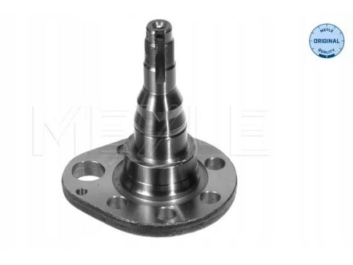 100 501 0036 Czop Piasty Koła Tył P Tył Pasuje Do: Seat Arosa, Cordoba