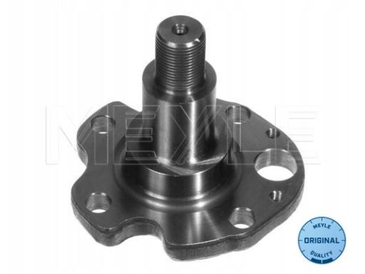 100 501 0029 Czop Piasty Koła Tył L/P Tył Pasuje Do: Audi A3, Tt, Seat