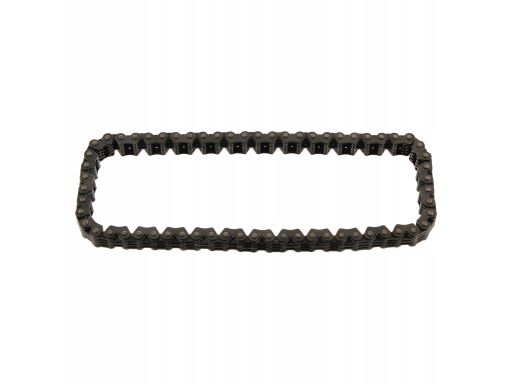 Fe100074 Łańcuch Napędu Pompy Oleju (Liczba Ogniw: 62) Pasuje Do: Hond