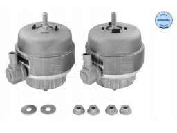 100 199 3004/S Komplet Poduszek Silnika Przód L/P Pasuje Do: Audi A6