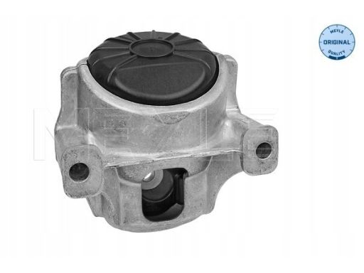 100 199 1007 Poduszka Silnika Przód P, Hydrauliczna Pasuje Do: Audi A4