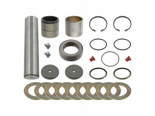Fe08521 Zestaw Naprawczy Zwrotnicy (Z Łożyskiem 49,5/50Mmx223Mm) Pasuj