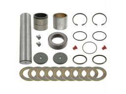 Fe08521 Zestaw Naprawczy Zwrotnicy (Z Łożyskiem 49,5/50Mmx223Mm) Pasuj