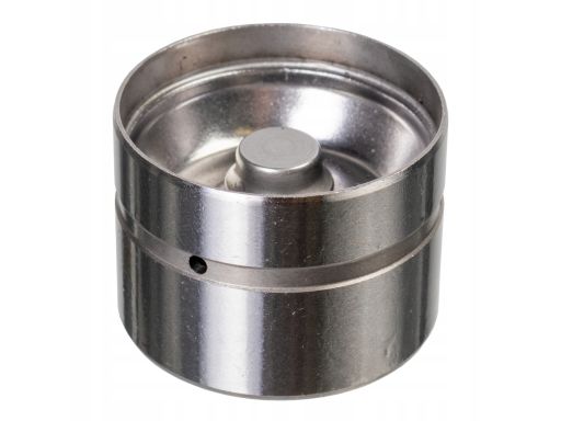 Fe07589 Popychacz Zaworu Hydrauliczny Pasuje Do: Bmw 3 (E36), 3 (E46),