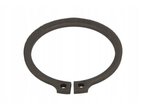 Fe04118 Pierścień 42X2,5Mm Pasuje Do: Bpw Kh, Km, Sh, Skh, Skm 01.00-