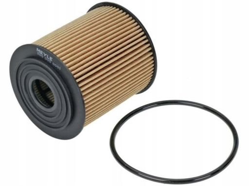 300 000 0001 Filtr Oleju Pasuje Do: Chrysler Neon Ii, Pt Cruiser, Fiat