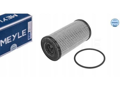 614 322 0013 Filtr Oleju Pasuje Do: Nissan Interstar, Primastar, Qashq