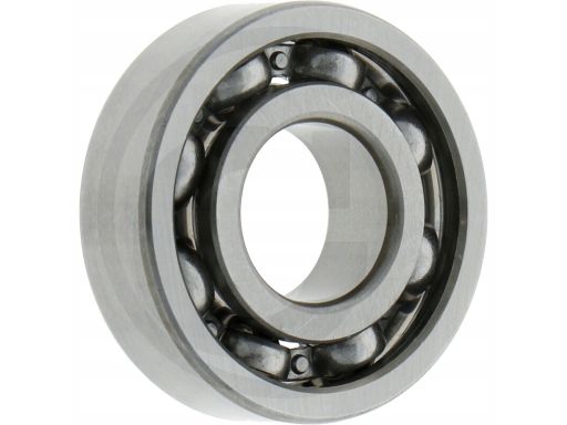 1 900 900 305 Łożysko Alternatora