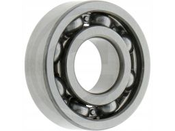 1 900 900 305 Łożysko Alternatora