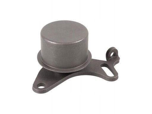 Sw20030005 Rolka Napinająca Paska Rozrządu Pasuje Do: Bmw 3 (E21), 3