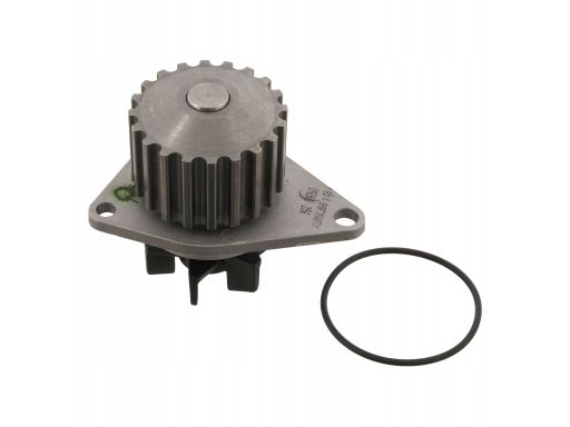 Fe09260 Pompa Cieczy Chłodzącej, Z Uszczelką Pasuje Do: Citroen Ax,