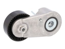 Sw33109641 Napinacz Paska Wielorowkowego Pasuje Do: Ford Focus Iv, Gal