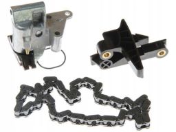 Sw99130331 Rozrząd Kpl. (Łańcuch + Elementy) (Bez Kół) Pasuje Do: Bmw