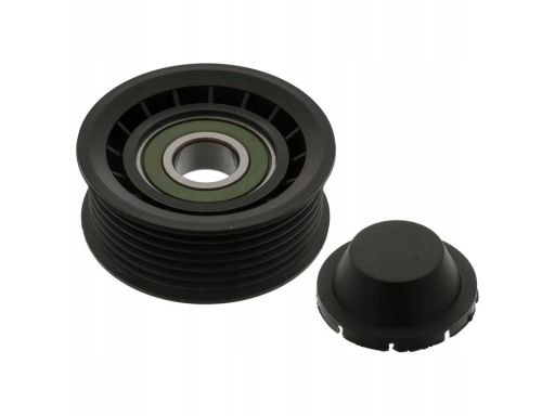 Sw30030032 Rolka Prowadząca Pasek Wielorowkowy (Tworzywo Sztuczne) Pas