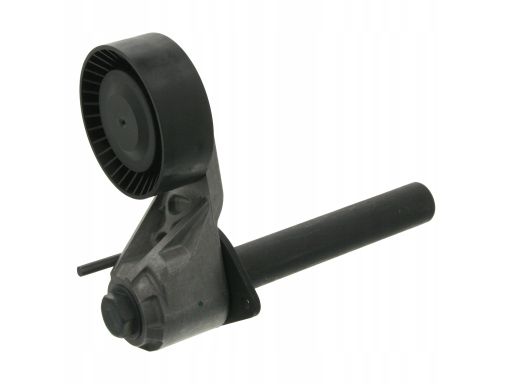 Sw20936488 Napinacz Paska Wielorowkowego Pasuje Do: Bmw X5 (E70), X6 (