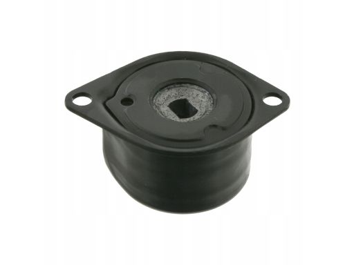 Sw30927814 Napinacz Paska Wielorowkowego Pasuje Do: Vw California T4