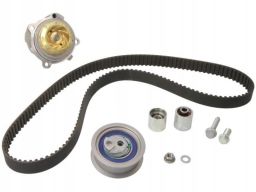 Pk05721 Rozrząd Kpl. (Pasek + Rolka + Pompa Cieczy) Pasuje Do: Audi A3