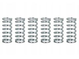 Zestaw Sprężyn Sprzęgła Komplet Sprężyn Sprzęgła Pasuje Do: Kawasaki K