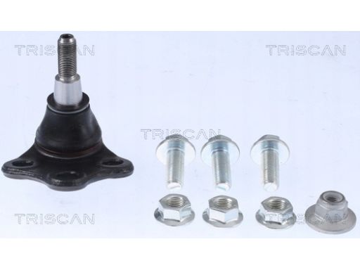 8500 25599 Sworzeń Wahacza Renault P. Scenic 1,2-1, Triscan